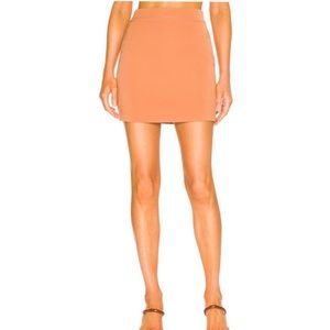 NWT Lovers & Friends Diana Mini Skirt